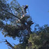 Société artisanale spécialisée en entretien de jardin et en élagage Aix en Provence Hernandez Espace Vert